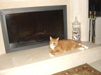 Cheeto chillin by the relaxing fire.