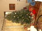 Our tree!