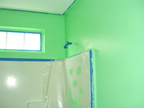 Upper portion of the wall is painted.  I wanted green so I guess I got my wish.