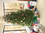 Our christmas tree
